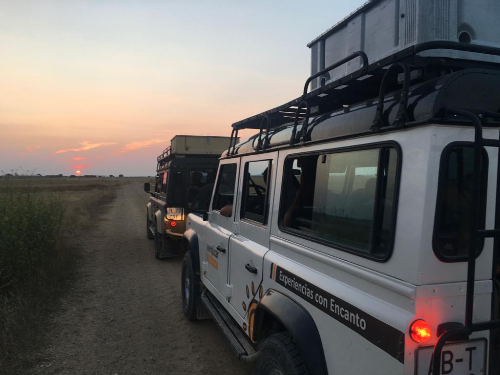 Todoterrenos en safari al atardecer